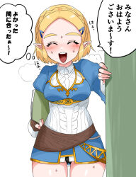 Rule 34 | 1girl, blonde hair, bob cut, breasts, breath, forehead, heavy breathing, highres, medium breasts, nintendo, panties, pantyshot, pointy ears, princess zelda, short hair, simple background, steam, steaming body, the legend of zelda, the legend of zelda: breath of the wild, thick eyebrows, thigh gap, thighs, translation request, underwear, wasabi (legemd), white background