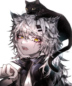 1girl 33_gaff absurdres animal animal_ears animal_on_head arknights black_cat black_nails cat cat_on_head eyelashes grey_hair hair_between_eyes highres lappland_(arknights) long_hair long_sleeves looking_at_viewer nail_polish on_head open_mouth paw_pose scar scar_on_face simple_background solo upper_body white_background wolf_ears yellow_eyes