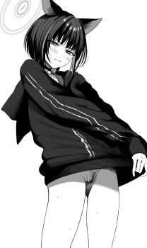 1girl animal_ears blue_archive blush cat_choker cat_ears closed_mouth clothes_lift cowboy_shot daiji_pt embarrassed extra_ears female_pubic_hair greyscale halo highres hood hood_down hoodie hoodie_lift jacket kazusa_(blue_archive) long_sleeves looking_at_viewer monochrome pubic_hair short_hair simple_background small_sweatdrop smile solo white_background