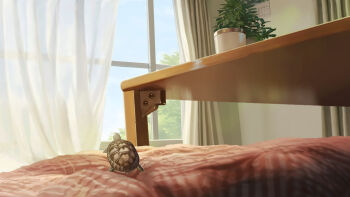 animal animal_focus calendar_(object) commentary_request commission curtains highres indoors no_humans original plant potted_plant scenery skeb_commission sumassha_t_t table tortoise turtle window