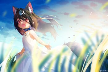 1girl animal_ear_fluff animal_ears black_hair blue_collar cloud collar day dog_ears dog_girl dog_tail dress fang grass hair_intakes highres kannagi_cocoa long_hair open_mouth original outdoors red_eyes ribbon sky sleeveless sleeveless_dress smile solo sundress tail toba_hiyoko white_dress white_ribbon