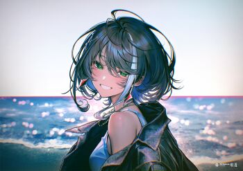 1girl asu_(sinsekai) black_hair blush character_name commentary_request content_rating copyright_name denim denim_jacket earrings from_side green_eyes grin horizon jacket jewelry kamitsubaki_studio looking_at_viewer looking_to_the_side m2ssvf multicolored_hair necklace ocean outdoors sinsekai_record smile solo streaked_hair upper_body virtual_youtuber white_hair