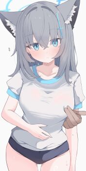 1boy 1girl absurdres alternate_breast_size_(larger) animal_ear_fluff animal_ears blue_archive blue_buruma blue_halo blush breasts buruma closed_mouth collarbone commentary cowboy_shot cross cross_hair_ornament earrings extra_ears gluteal_fold grey_hair groin gym_shirt gym_uniform hair_between_eyes hair_ornament halo hand_on_own_stomach hetero highres inverted_cross jewelry large_breasts latin_cross long_hair looking_at_viewer nipple_rub_through_clothes nui_(nuinui0300) puffy_short_sleeves puffy_sleeves shiroko_(blue_archive) shirt short_sleeves simple_background stud_earrings sweat thighs variant_set white_background white_shirt wolf_ears wolf_girl