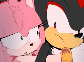 1boy 1girl amy_rose chocomilkamy furry furry_female furry_male gloves green_eyes hug hug_from_behind looking_at_another looking_back red_eyes scene_reference shadow_the_hedgehog sonic_(series) sonic_adventure_2 upper_body