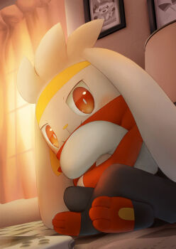 blush bright_pupils closed_mouth commentary_request curtains from_below gen_8_pokemon highres indoors looking_at_viewer nintendo no_humans photo_(object) pokemon pokemon_(creature) purobe raboot red_eyes scorbunny sitting smile toes white_pupils