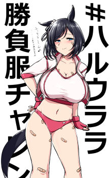 1girl alternate_breast_size_(larger) animal_ears arm_at_side bandaid bandaid_on_breast bandaid_on_cheek bandaid_on_face bandaid_on_finger bandaid_on_hand bandaid_on_leg bandaid_on_neck black_hair blue_eyes blush bow breasts buruma cleavage closed_mouth collared_jacket cosplay cropped_jacket cropped_shirt deno_(denomina0) ear_ribbon ear_scrunchie eishin_flash_(umamusume) fingerless_gloves furrowed_brow gloves gluteal_fold gym_shirt gym_uniform half-closed_eyes hand_on_own_hip haru_urara_(bestest_prize)_(umamusume) haru_urara_(umamusume) haru_urara_(umamusume)_(cosplay) highres horse_ears horse_girl horse_tail huge_breasts jacket leaning_to_the_side legs_apart light_blush looking_at_viewer medium_hair midriff musical_note navel one_ear_down open_clothes open_jacket red_buruma red_gloves ribbon shirt skindentation solo standing stomach tail too_many_bandaids translation_request umamusume undersized_clothes unzipped zipper