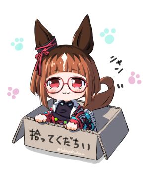1girl animal_ears aqua_coat black_shirt blush box brown_hair cardboard_box chibi closed_mouth coat commentary_request fanny_pack for_adoption glasses headphones headphones_around_neck highres horse_ears horse_girl horse_tail in_box in_container jacket long_sleeves looking_at_viewer multicolored_hair open_clothes open_coat paw_print paw_print_background red-framed_eyewear red_eyes shirt short_hair smile solo tail takoyaki_(takoyaki_draw) transcend_(umamusume) transcend_(zoku-zoku_gizmo)_(umamusume) umamusume