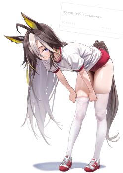1girl adjusting_clothes adjusting_legwear ahoge animal_ears black_hair blonde_hair blonde_streaks brown_tail buruma closed_mouth collarbone colored_inner_animal_ears commentary_request dream_journey_(umamusume) eyewear_strap full_body glasses gym_shirt herohero_(higashi_no_dou) highres horse_ears horse_girl horse_tail leaning_forward long_hair looking_at_viewer multicolored_hair puffy_short_sleeves puffy_sleeves purple_eyes red_buruma request_inset shirt shoes short_sleeves simple_background smile solo streaked_hair tail thighhighs thighs umamusume very_long_hair white_background white_hair white_shirt white_shoes white_streaks white_thighhighs