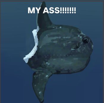 animal_focus bite_mark blue_background caption commentary english_commentary english_text fish injury junbuug ocean_sunfish original painterly simple_background