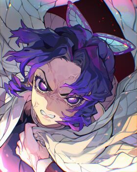 1girl absurdres benkeinazuna butterfly_hair_ornament clenched_teeth close-up hair_ornament hashtag-only_commentary highres kimetsu_no_yaiba kochou_shinobu looking_at_viewer portrait purple_eyes purple_hair solo tears teeth veins veiny_face wavy_hair