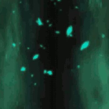 1girl animated animated_gif breasts dinosaur_king female_focus goggles jacket pink_hair purple_eyes screencap tatsuno_malm