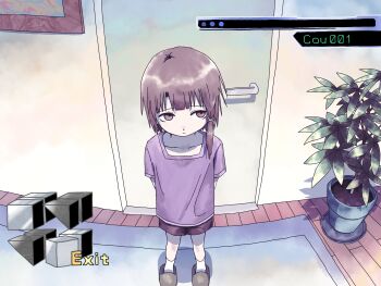 1girl absurdres brown_eyes brown_hair from_above highres indoors iwakura_lain pink_shirt plant potted_plant sano_(snsk3470) serial_experiments_lain shirt shorts solo standing