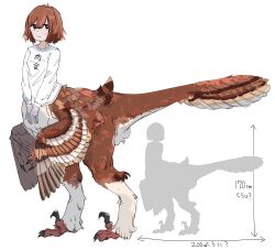 Rule 34 | 1girl, black eyes, bright pupils, brown feathers, brown hair, claws, closed mouth, commentary request, dinosaur girl, feathered wings, feathers, full body, highres, long sleeves, looking at viewer, monster girl, original, shirt, short hair, silhouette, simple background, solo, standing, tanaki bouei, taur, translation request, white background, white pupils, white shirt, wings