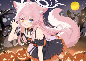 1girl :d ahoge animal_ear_fluff animal_ears aruka_(alka_p1) bare_shoulders black_bow black_bowtie black_dress black_sleeves blue_archive blue_eyes blush bow bowtie claw_pose commentary cowboy_shot detached_sleeves dress fang fox_ears fox_girl fox_tail frilled_dress frills halloween hand_up heterochromia highres hoshino_(blue_archive) jack-o&#039;-lantern kemonomimi_mode long_hair night open_mouth orange_eyes outdoors pink_hair short_sleeves sleeveless sleeveless_dress smile solo tail