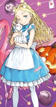 1girl alice_anotherbible animal animal_ear_fluff animal_ears apron bird blonde_hair blue_dress blue_eyes card child cleaned closed_mouth commentary_request cropped dress flamingo haimura_kiyotaka hedgehog holding holding_animal jack-o&#039;-lantern long_hair looking_at_viewer novel_illustration official_art one_eye_closed pantyhose parted_bangs playing_card pumpkin purple_background rabbit short_sleeves smile solo spikes spoilers standing star_(symbol) toaru_majutsu_no_index toaru_majutsu_no_index:_genesis_testament white_apron white_pantyhose white_rabbit_(animal)