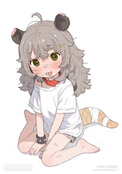 1girl animal_ears bandaid bandaid_on_face bandaid_on_nose barefoot collar commentary grey_hair hair_ornament hairclip highres looking_at_viewer macci_(possummachine) original possummachine shirt simple_background sitting solo wariza white_background white_shirt