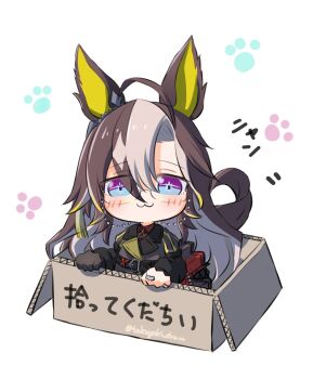 Rule 34 | 1girl, :3, ahoge, animal ears, black coat, black gloves, blue eyes, box, brown hair, cardboard, cardboard box, coat, collared shirt, dream journey (reminder of dreamland) (umamusume), dream journey (umamusume), eyewear strap, for adoption, glasses, gloves, highres, horse ears, horse girl, horse tail, in box, in container, long hair, long sleeves, looking at viewer, multicolored hair, paw print, paw print background, red shirt, shirt, single glove, smile, solo, tail, takoyaki (takoyaki draw), umamusume, white hair
