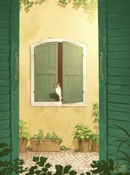 alley animal artist_name cat commentary day english_commentary highres no_humans original plant potted_plant shadow taizo_(taizo_03) trembling vines watermark window