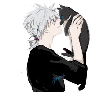 Rule 34 | 1boy, animal, black cat, black shirt, cat, closed mouth, commentary request, from side, holding, holding animal, holding cat, low ponytail, nagisa kaworu, neon genesis evangelion, ponytail, red eyes, shirt, short hair, short ponytail, signature, simple background, sleeves pushed up, white background, white hair, yorumi1117
