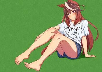 1girl animal_ears bare_legs barefoot blue_shorts blush brown_hair character_request check_character closed_mouth commentary eyelashes feet full_body green_background hair_between_eyes highres horse_ears horse_girl horse_tail knees_up leg_focus legs long_hair looking_at_viewer masaki_(masaki_470) multicolored_hair on_ground pink_eyes shirt short_shorts short_sleeves shorts simple_background sitting smile solo spread_toes streaked_hair symboli_rudolf_(umamusume) tail thighs toenails toes umamusume untranslatable_commentary very_long_hair white_hair white_shirt