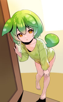 1girl absurdres akai_kuro animal_ears barefoot blush bottomless collarbone door flat_chest green_hair green_shirt hand_on_own_knee highres leaning_forward loli long_sleeves looking_at_viewer naked_shirt nipples open_mouth orange_eyes oversized_clothes oversized_shirt pea_pod print_shirt shirt short_hair standing standing_on_one_leg tail voicevox window zundamon