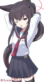 1girl absurdres adjusting_hair alternate_hairstyle animal_ear_fluff animal_ears arms_behind_head arms_up ayana_ayase black_sailor_collar black_skirt black_thighhighs blue_archive brown_hair collarbone commentary_request cowboy_shot floating_hair fox_ears fox_girl hair_between_eyes hair_tie_in_mouth halo highres long_hair long_sidelocks long_sleeves looking_at_viewer miniskirt mouth_hold neckerchief one_eye_closed pleated_skirt ponytail red_eyes red_halo red_neckerchief sailor_collar school_uniform serafuku shirt sidelocks simple_background skindentation skirt solo standing thighhighs twitter_username very_long_hair white_background white_shirt yukino_(blue_archive) zettai_ryouiki