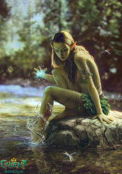 Rule 34 | 1girl, akreon, breasts, brown hair, cd projekt red, colored skin, dryad, elf, green skin, gwent (game), hair ornament, hydrokinesis, long hair, magic, nature, official art, plant clothing, pointy ears, river, solo, the witcher (series), water