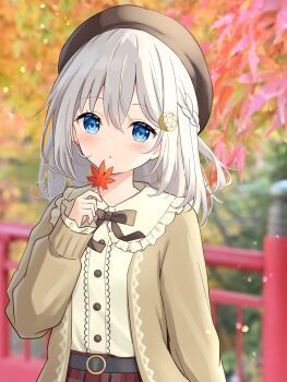 1girl :o absurdres autumn_leaves beret black_hat black_ribbon blue_eyes blurry blurry_background blush braid brown_cardigan cardigan commentary_request crescent crescent_hair_ornament frilled_shirt_collar frills hair_ornament half_up_braid hanazora_satsuki hat highres holding holding_leaf leaf looking_at_viewer maple_leaf neck_ribbon open_cardigan open_clothes original outdoors parted_lips plaid_clothes plaid_skirt red_skirt ribbon satsuki_(hanazora_satsuki) shirt skirt solo star_(symbol) star_hair_ornament upper_body white_hair white_shirt