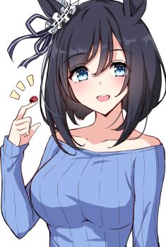 1girl animal_ears bare_shoulders black_hair blue_eyes blue_shirt blush bob_cut bow breasts bug collarbone commentary_request ear_ribbon ear_scrunchie eishin_flash_(umamusume) hair_between_eyes highres horse_ears horse_girl insect ladybug large_breasts long_sleeves looking_at_viewer off-shoulder_shirt off_shoulder open_mouth scrunchie shirt short_hair simple_background smile solo swept_bangs teeth umamusume upper_body upper_teeth_only white_scrunchie yukiya_(shiya)