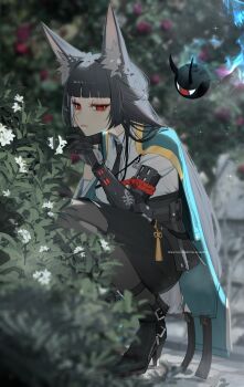 1girl absurdres animal_ear_fluff animal_ears black_necktie black_pantyhose blurry blurry_background breasts bush grey_hair high_heels highres hoshimi_miyabi jacket long_hair mechanical_arms necktie ohkurrva outdoors pantyhose red_eyes shirt single_mechanical_arm small_breasts solo squatting very_long_hair white_shirt zenless_zone_zero