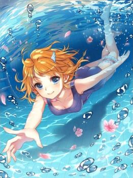 Rule 34 | 1girl, air bubble, baizu (guszx), blue eyes, blush, breasts, brown hair, bubble, diving, flower, full body, hair ornament, hairpin, holding breath, kamome narumi, looking at viewer, medium breasts, outstretched arms, petals, pink flower, pool, pool ladder, school swimsuit, shironeko project, short hair, smile, solo, swimming, swimsuit, underwater, water