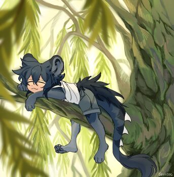 1boy :3 absurdres animal_feet animal_hands blue_hair closed_eyes commentary deviidog0 english_commentary full_body fur-tipped_tail highres in_tree male_focus monster_girl original outdoors shirt short_hair shorts solo stomach tail tree