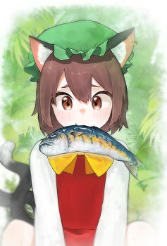 1girl animal_ears blush bow bowtie brown_eyes brown_hair cat_ears cat_girl cat_tail chen commentary fish fish_in_mouth hair_between_eyes hat highres long_sleeves looking_at_viewer multiple_tails red_skirt red_vest shirt short_hair skirt solo squatting symbol-only_commentary tail touhou two_tails upper_body vest white_shirt yellow_bow yellow_bowtie youtube_snh