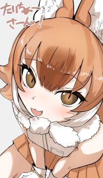 1girl absurdres animal_ears bare_shoulders blush bow bowtie brown_eyes brown_hair brown_skirt dhole_(kemono_friends) extra_ears gloves grey_background highres kemono_friends kemono_friends_3 llb looking_at_viewer shirt short_hair simple_background skirt sleeveless sleeveless_shirt solo white_shirt wolf_ears wolf_girl