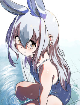 1girl alternate_costume animal_ears bare_arms bare_legs bare_shoulders blue_one-piece_swimsuit blush extra_ears from_above grey_hair hair_between_eyes highres kemono_friends long_hair looking_at_viewer mcgunngu multicolored_hair one-piece_swimsuit pool poolside rabbit_ears rabbit_girl school_swimsuit sidelocks sitting sleeveless snowshoe_hare_(kemono_friends) solo spaghetti_strap swimsuit water white_hair yellow_eyes