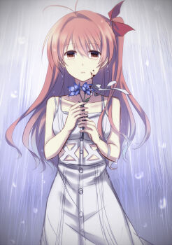 Rule 34 | 1girl, antenna hair, bare arms, bare shoulders, bellflower, blood, blood on cheek, blood on face, blue flower, bow, chaos;head, chinese bellflower, commentary request, dress, flower, hair bow, hands up, highres, holding, holding flower, long hair, looking at viewer, nishijou myu, one side up, orange hair, parted lips, pink eyes, rain, ribbon, sakihata rimi, science adventure, solo, sundress, teeth, white dress