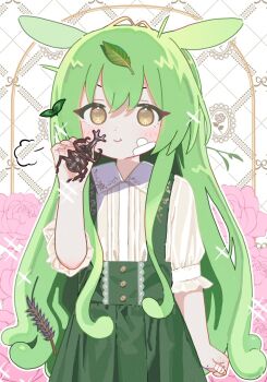 1girl alternate_costume alternate_hairstyle animal bandaid bandaid_on_face blush bug collared_shirt commentary_request cowboy_shot crossed_bandaids floral_background flower green_hair green_skirt green_suspenders hair_between_eyes hand_up highres holding holding_animal howahowa_kanmiryou leaf leaf_on_head long_hair looking_at_viewer low_twintails ojou-sama_zundamon pink_flower pink_rose rhinoceros_beetle rose shirt short_sleeves skirt smile solo straight-on suspender_skirt suspenders twintails very_long_hair voicevox white_background white_shirt yellow_eyes zundamon