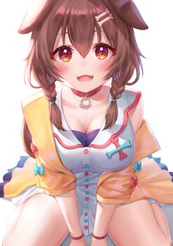 1girl absurdres animal_ears bad_id bad_twitter_id blush bone_hair_ornament braid breasts cartoon_bone cleavage collar collarbone commentary_request deaver dog_ears fangs hair_ornament highres hololive inugami_korone inugami_korone_(1st_costume) large_breasts looking_at_viewer open_mouth red_collar red_eyes short_hair sitting skin_fangs smile solo twin_braids twitter_username virtual_youtuber wariza