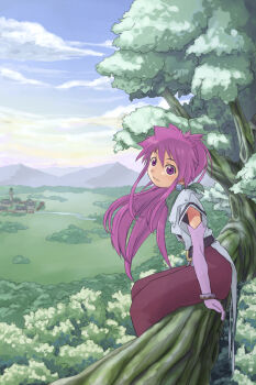 1girl arche_klein blue_sky cloud commentary_request in_tree long_hair looking_at_viewer nature outdoors purple_eyes purple_hair scenery sitting sitting_in_tree sky smile solo tales_of_(series) tales_of_phantasia toraneko tree