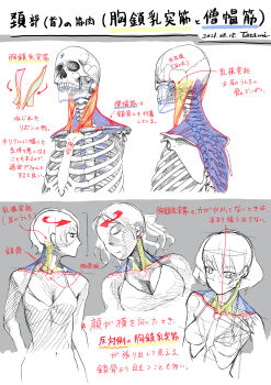 2021 3girls absurdres anatomy biology bone breasts cleavage educational highres how_to jaw large_breasts multiple_girls neck original plane_(tool) ponytail ribs short_hair skeleton spine tatami_(loop) teeth turning_head