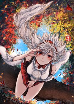 1girl animal_ears autumn_leaves bare_shoulders blue_sky breasts cloud commentary_request detached_sleeves from_above hair_between_eyes hat highres inubashiri_momiji leaf leaf_print light_smile looking_at_viewer maple_leaf_print medium_breasts pom_pom_(clothes) red_eyes red_skirt shirt short_hair sitting_on_branch skirt skirt_hold sky sleeveless sleeveless_shirt solo soukou_(artist) tail thighs tokin_hat touhou upside-down white_hair wolf_ears wolf_girl wolf_tail
