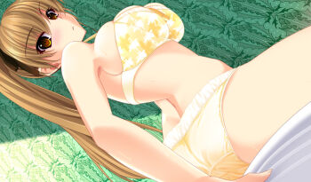 1girl ass atelier_kaguya blush bra breasts brown_eyes brown_hair brown_ribbon game_cg hair_ribbon large_breasts long_hair looking_at_viewer looking_back love_tore_~ecchi_na_ren'ai_training~ panties ponytail print_bra ribbon side_ponytail sideboob sitting source_request sweat takaoka_tsubame underwear yellow_bra yellow_panties yoppy
