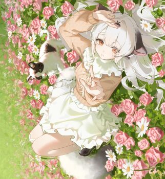 absurdres animal_ears azur_lane bandaged_head bandages brown_sweater cat commentary_request flower highres long_hair long_sleeves looking_at_viewer lying miyuki_(azur_lane) miyuki_(clear_skies_and_crepes)_(azur_lane) official_alternate_costume on_back orange_eyes outdoors oxiete parted_lips pink_flower sweater white_flower