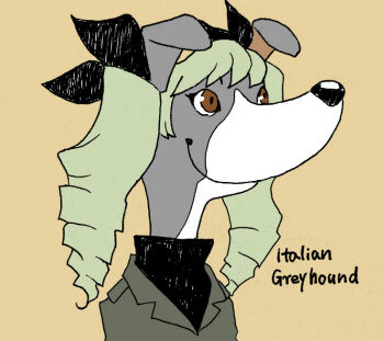 1girl anchovy_(girls_und_panzer) animal_ears black_shirt brown_background brown_eyes closed_mouth commentary_request dog_ears dog_girl drill_hair furrification furry furry_female girls_und_panzer green_hair grey_jacket greyhound jacket long_hair looking_afar onikobe_rin pun shirt simple_background smile solo twin_drills upper_body what