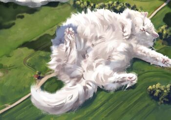 3aem animal animal_focus cat cloud commentary day english_commentary highres lying no_humans on_back original outdoors oversized_animal sleeping tree white_cat