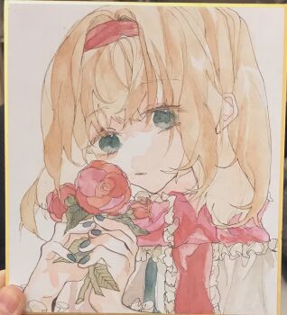 1girl alice_margatroid blonde_hair blue_eyes blue_nails commentary_request expressionless fingernails flower frilled_scarf hairband highres holding holding_flower looking_at_viewer parted_lips red_flower red_hairband red_scarf scarf shikishi shinjitsu_no_kuchi shirt short_hair simple_background solo touhou upper_body white_background white_shirt