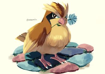 absurdres animal_focus beak bird closed_mouth flower gen_1_pokemon highres nintendo no_humans noahzark1212 pidgey pokemon pokemon_(creature) pokemon_focus solo tail talons wings