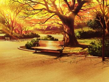 artist_request bare_tree bench bush cloud game_cg grass lamppost light_rays magia_record:_mahou_shoujo_madoka_magica_gaiden mahou_shoujo_madoka_magica no_humans official_art orange_sky outdoors park path road scenery shade sky sunlight sunset tree