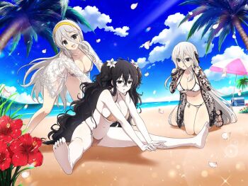 3girls :d :o assisted_stretching bare_shoulders barefoot beach beach_towel beach_umbrella bikini black_eyes black_hair blue_sky blush breasts brown_bikini cheering cleavage cloud cooler day falling_petals flower fubuki_(senran_kagura) gekkou_(senran_kagura) grass green_eyes grey_bikini grey_hair groin hair_between_eyes hair_flower hair_ornament hairband hands_on_another's_back hibiscus horizon jewelry large_breasts lens_flare light_particles lily_(flower) long_hair looking_at_another looking_at_viewer marvelous mountain multiple_girls navel ocean official_art open_mouth outdoors palm_leaf palm_tree pentagram petals pink_umbrella plant red_flower sand sandals senkou_(senran_kagura) senran_kagura senran_kagura_new_link shiny_skin shore siblings sidelocks sisters sitting sky smile sparkle star_(symbol) star_hair_ornament stretching sunlight swimsuit tareme towel tree tropical tsurime two-tone_umbrella umbrella underboob very_long_hair water waves wavy_hair white_bikini white_umbrella yaegashi_nan yellow_hairband
