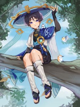 1boy absurdres amhr_46 anemo_symbol_(genshin_impact) animal animal_on_shoulder arm_at_side armor belt bird bird_on_shoulder black_belt black_bodysuit black_bow black_hair black_sandals black_shorts blue_cape blue_gem blue_hat blue_kimono blue_sky blue_sleeves blunt_ends bodysuit bow bridal_gauntlets bright_pupils cape clothing_cutout cloud cloudy_sky commentary_request eyeliner feathers finch full_body furisode gem genshin_impact glint gold gold_ring grey_bridal_gauntlets hakama hakama_shorts hand_up hat highres hip_vent japanese_armor japanese_clothes jingasa juban kimono kote kurokote layered_sleeves leaf leg_warmers looking_at_animal makeup male_focus middle_ring open_clothes open_hand open_kimono outdoors pleated_shorts pom_pom_(clothes) purple_eyes purple_rope purple_sash red_eyeliner rope sandals sash scaramouche_(genshin_impact) short_sleeves shorts shoulder_peek sitting_on_branch sky solo stirrup_legwear toeless_legwear toenails toes tree turtleneck turtleneck_bodysuit twitter_username wanderer_(genshin_impact) white_kimono white_leg_warmers white_pupils white_sleeves white_trim yellow_feathers zouri